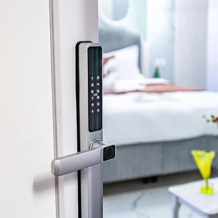 公寓 Iancu Jianu Premium 1