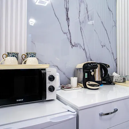 Apartmán Iancu Jianu Premium 1 *