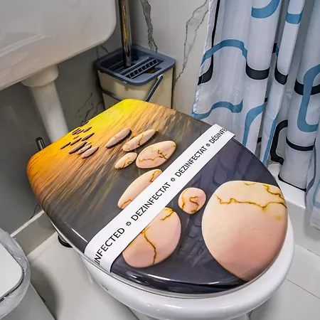 Apartment Iancu Jianu Premium 1 *